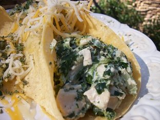 Turkey Enchilada Crepes with Spinach